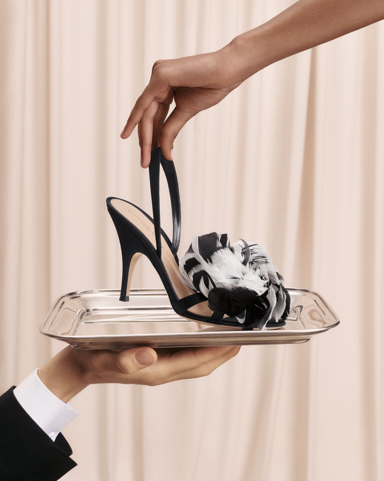 Fenice gianvito rossi