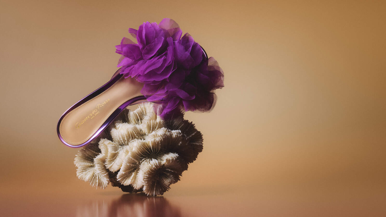 Igea mule gianvito rossi