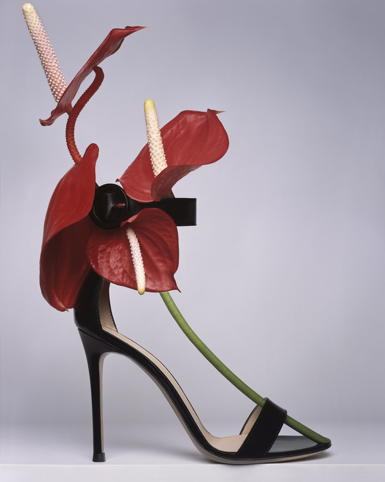 gianvito rossi 20th anniversary