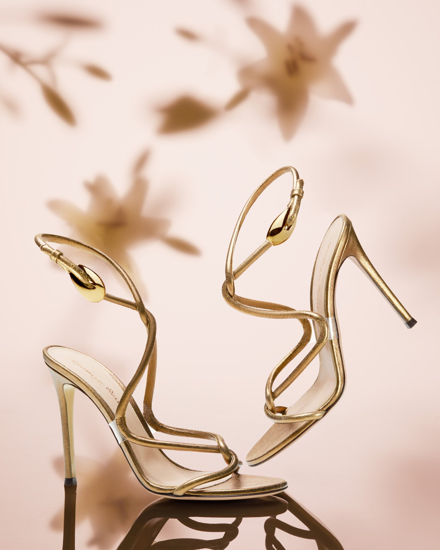 Jungle Mamba Gianvito Rossi