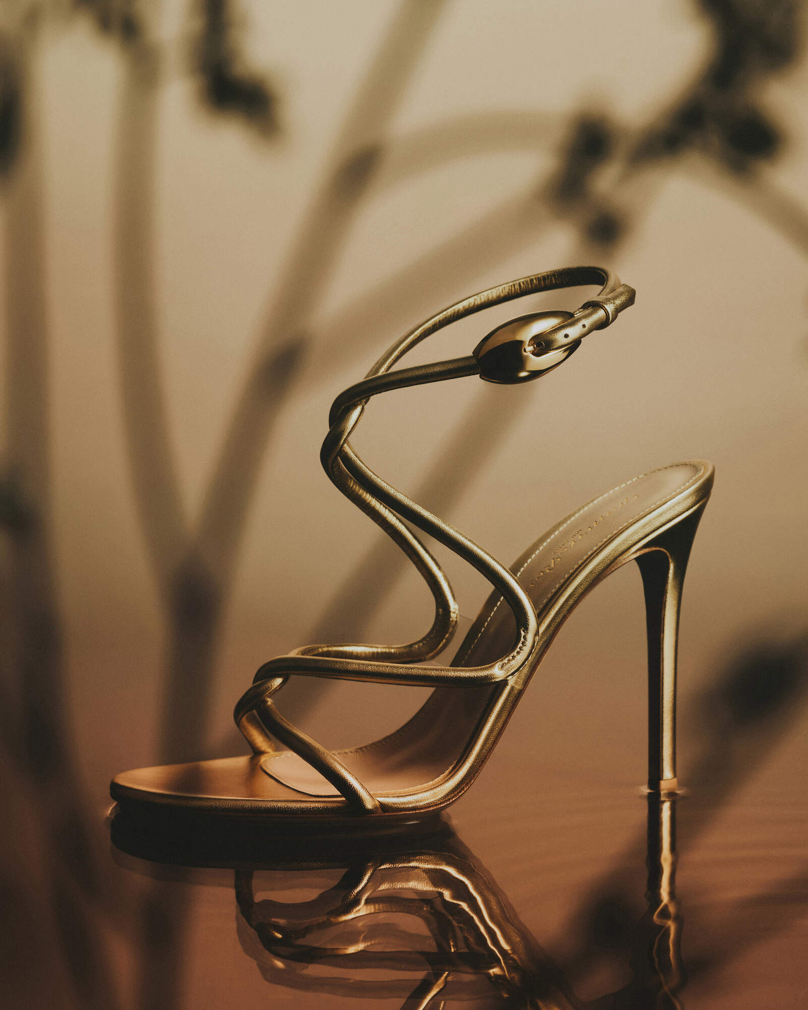Gianvito Rossi Black Mamba