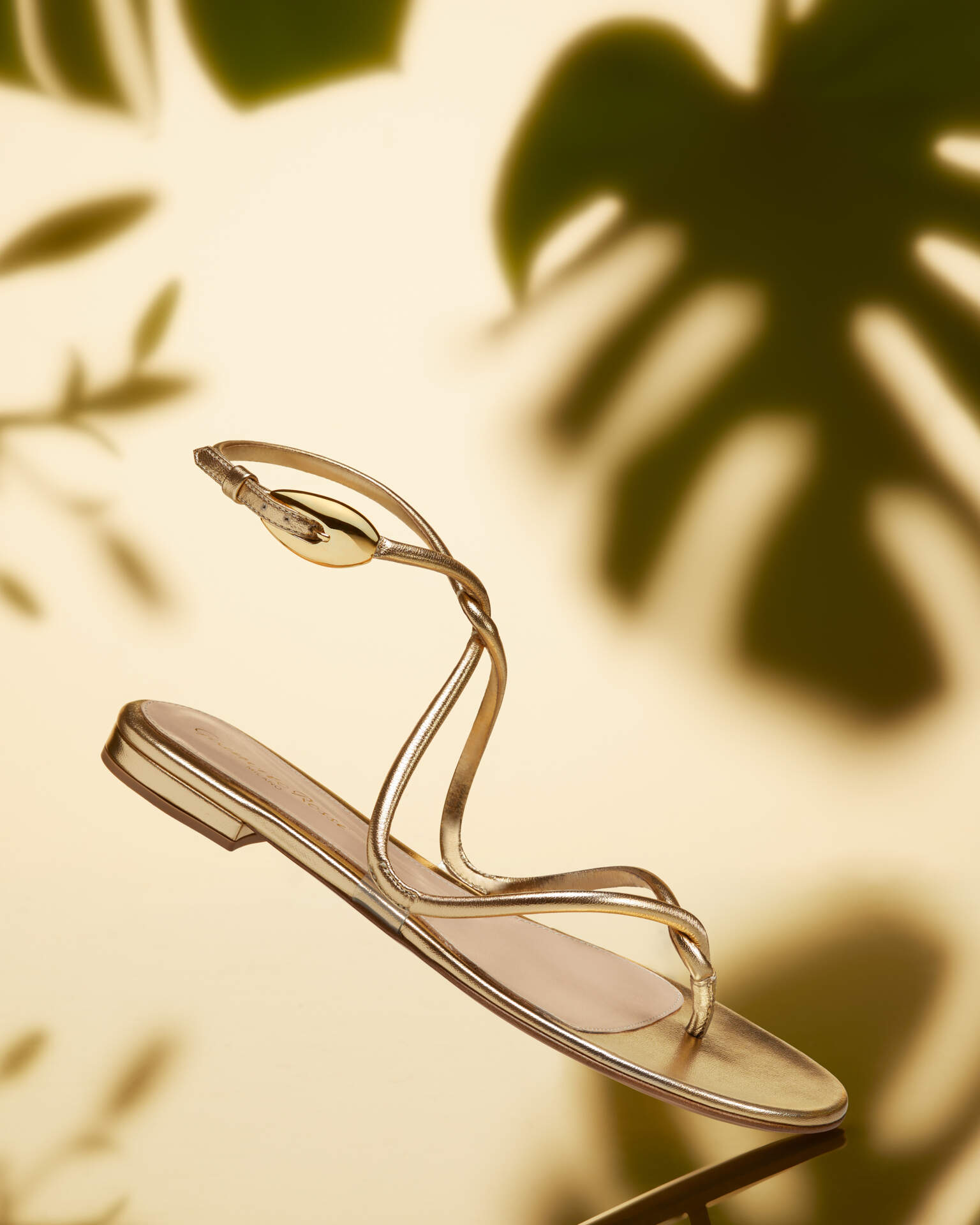 Gianvito Rossi Black Mamba Flat