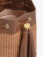 SIENNA image number 4