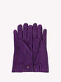 GLOVE image number 2