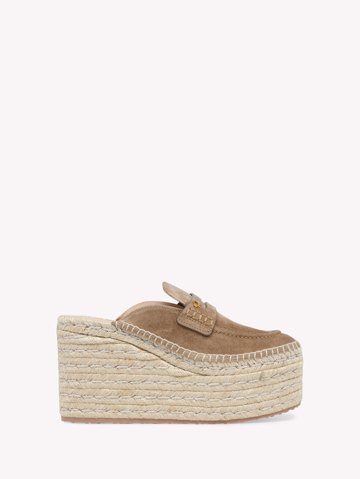 MAXILLA image number 1