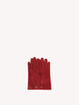 GLOVE image number 2