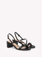 BETSEY numero immagine 2