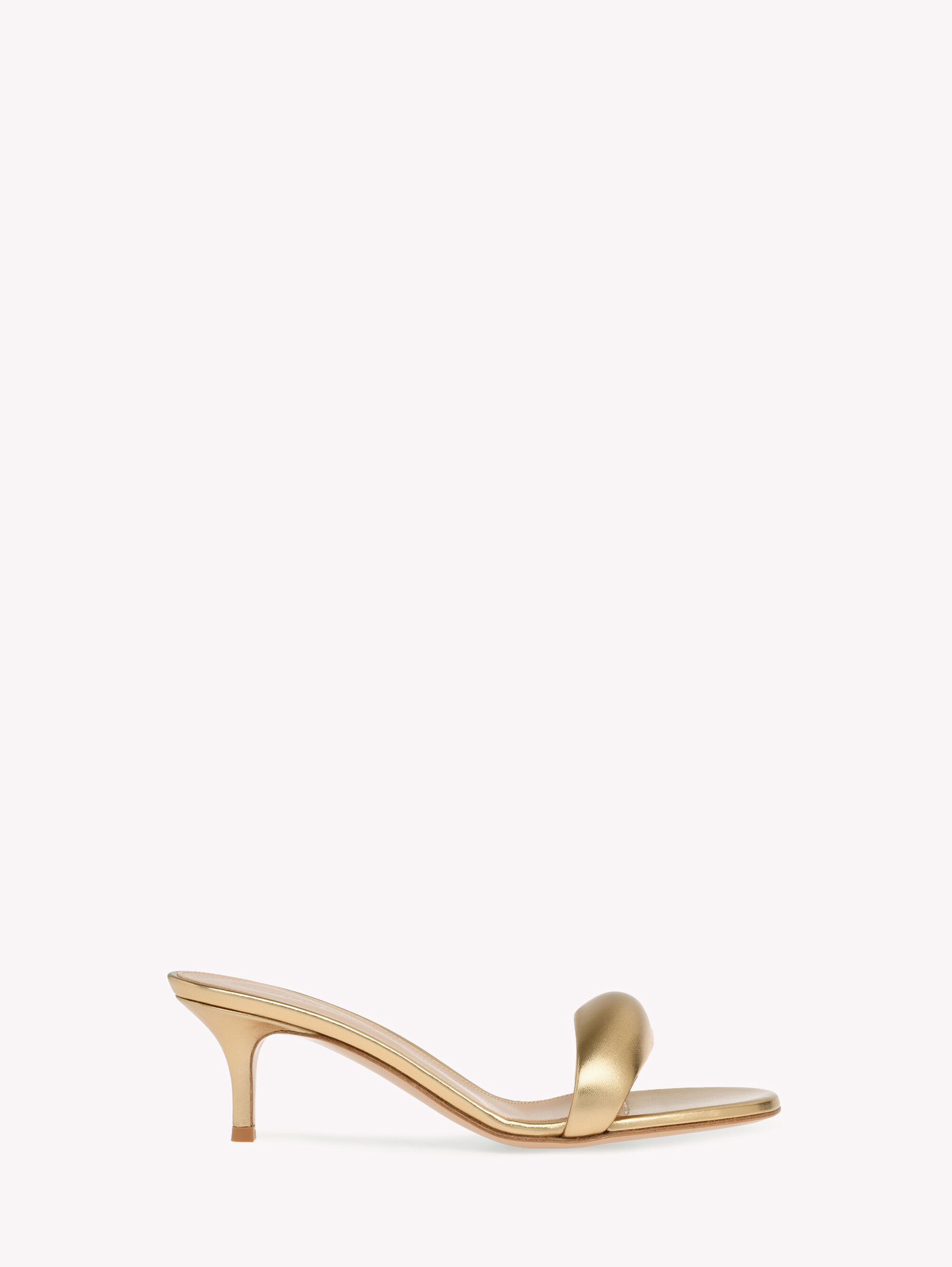 Buy BIJOUX MULE 55 for EUR 620.00 | Gianvito Rossi Global