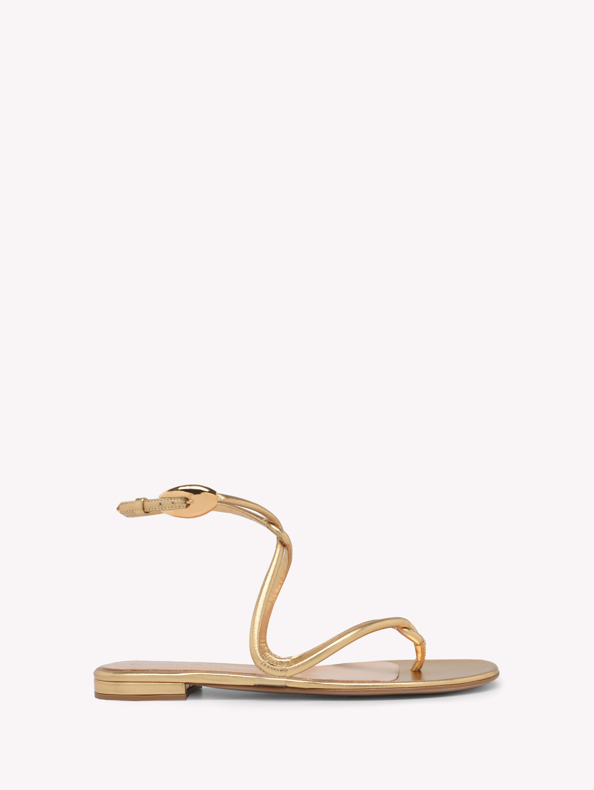 Luxury Shoes and Accessories for Women | Gianvito Rossi