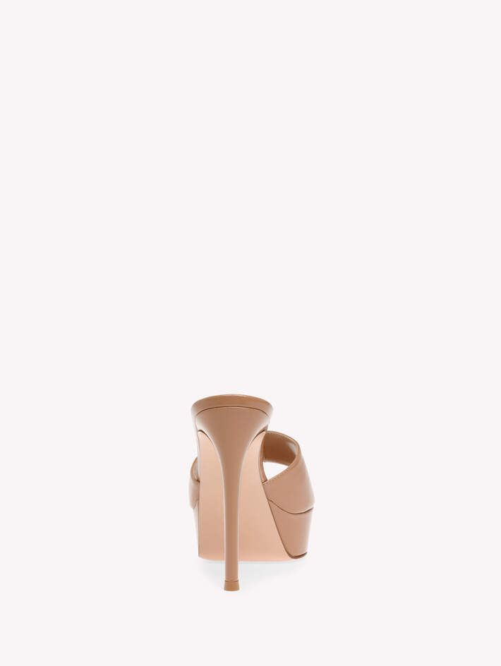 DASHA MULE