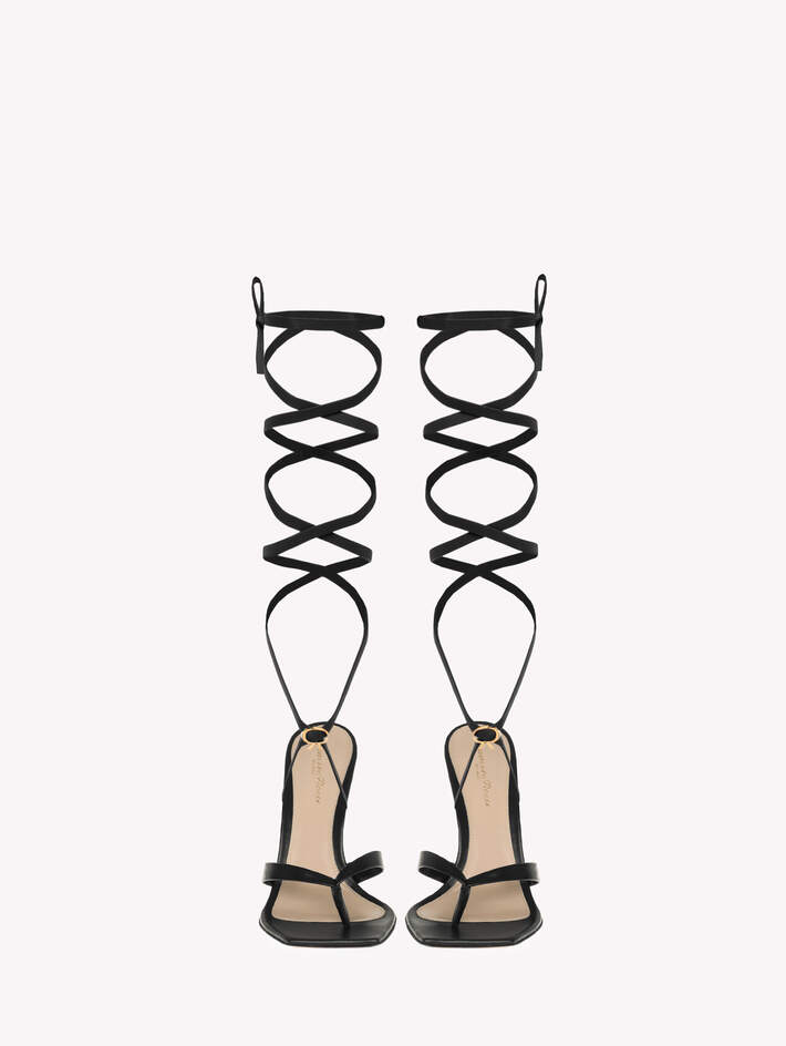 RIBBON GLADIATOR image number 3