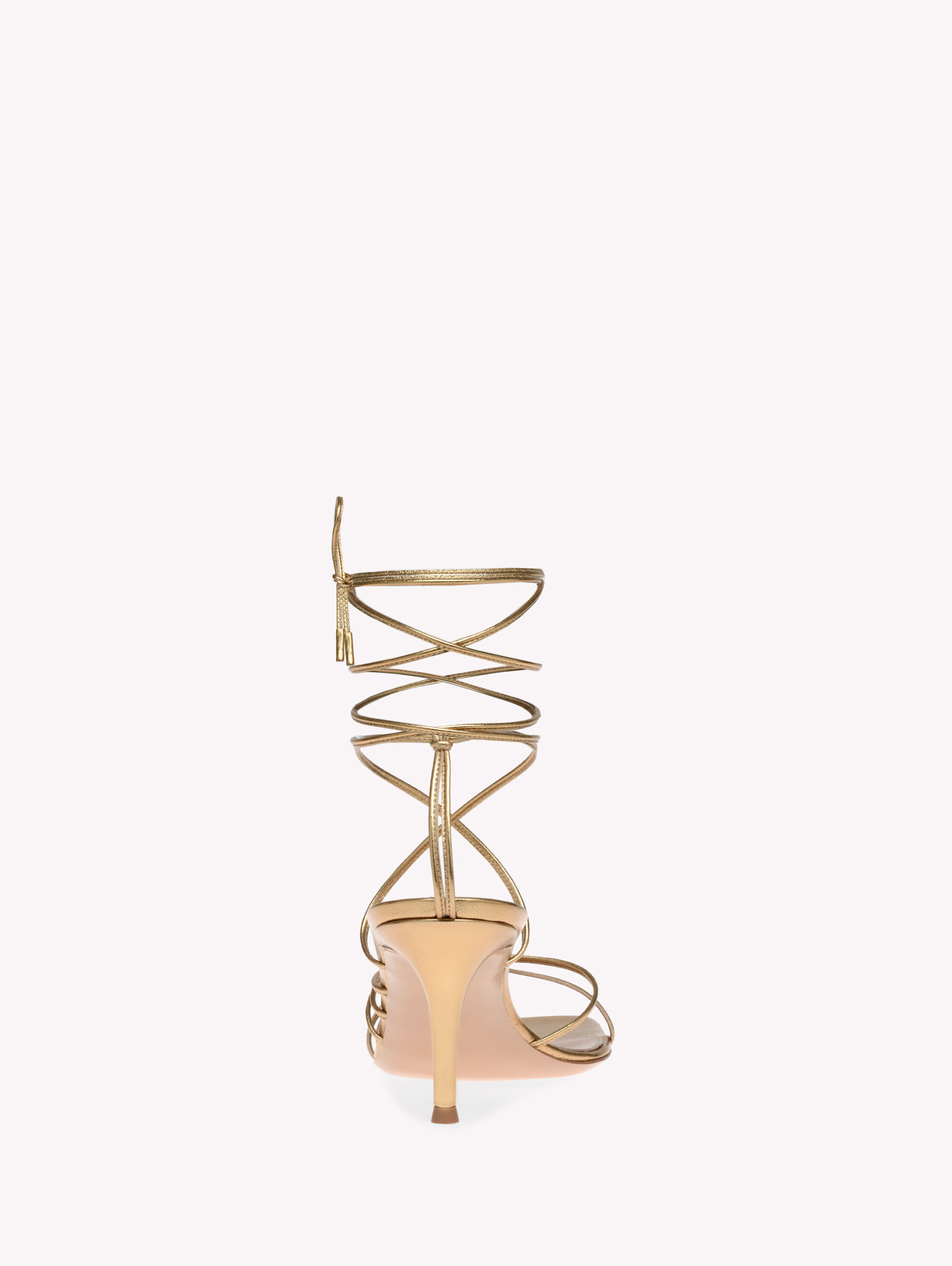 SYLVIE 70 SYLVIE 70