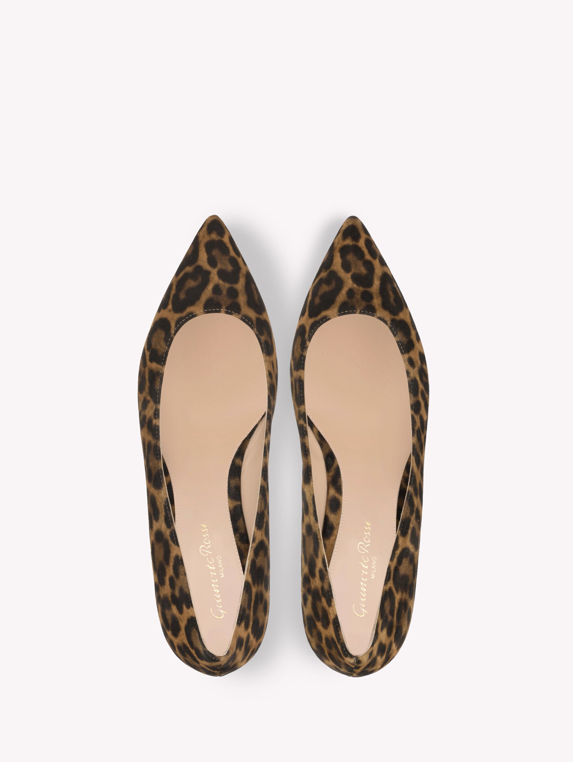 Loafers and Ballerinas GIANVITO FLAT LEOPARD PRINT | Gianvito Rossi