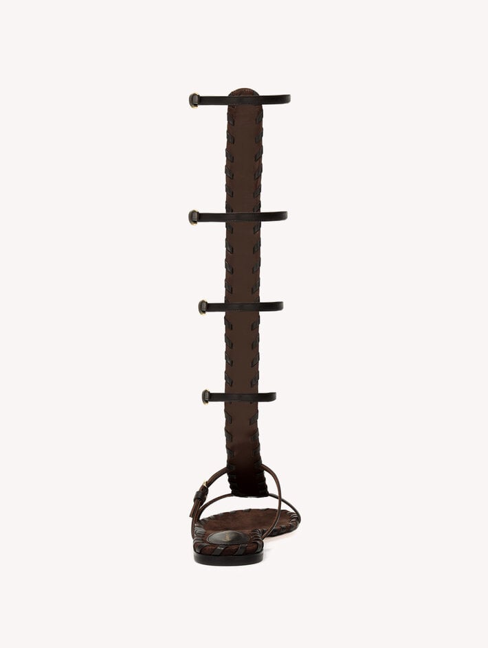 ZAIRA GLADIATOR