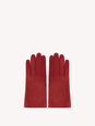 GLOVE image number 1