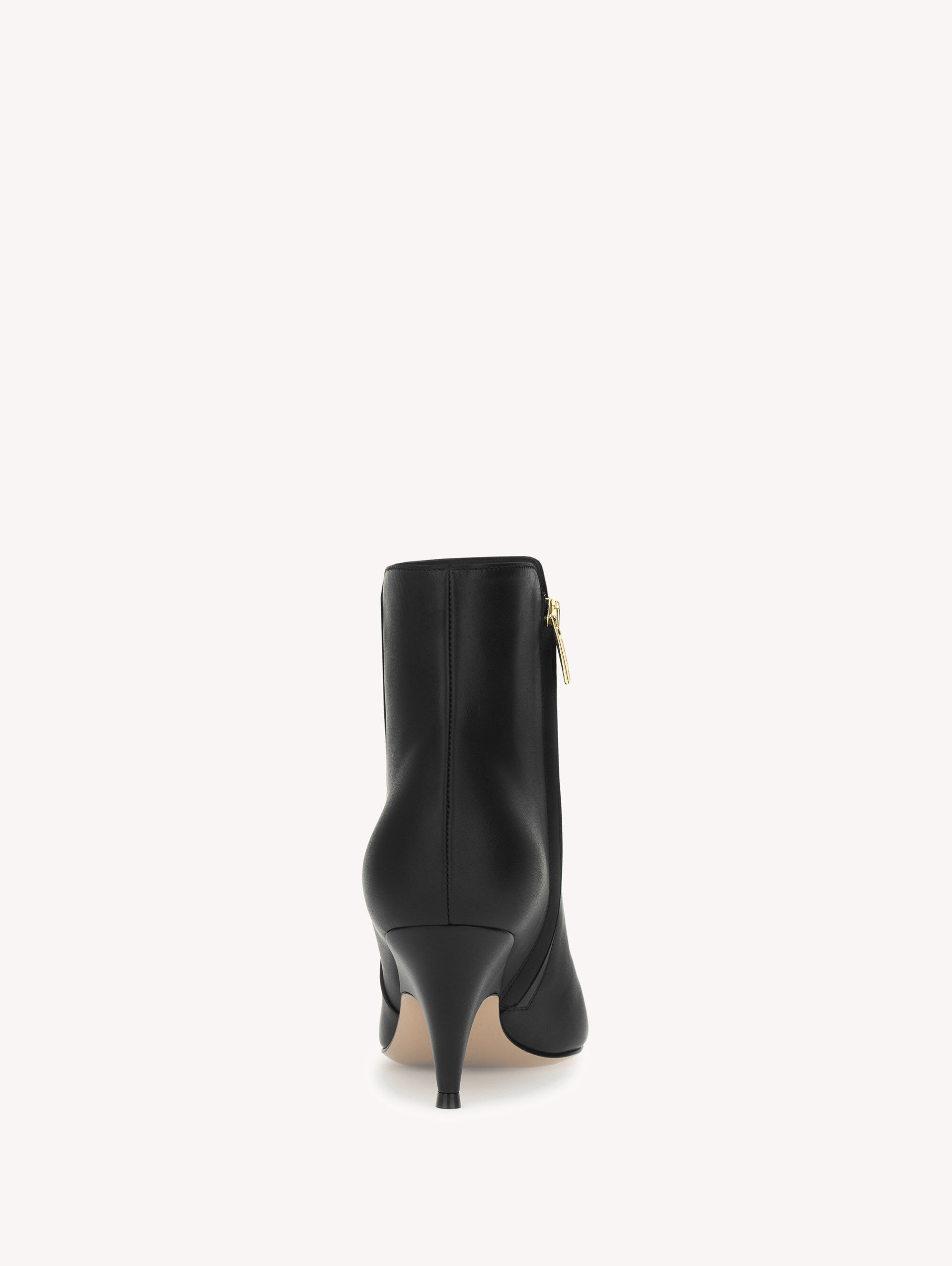 Booties SOFIA BOOTIE 70 Black | Gianvito Rossi