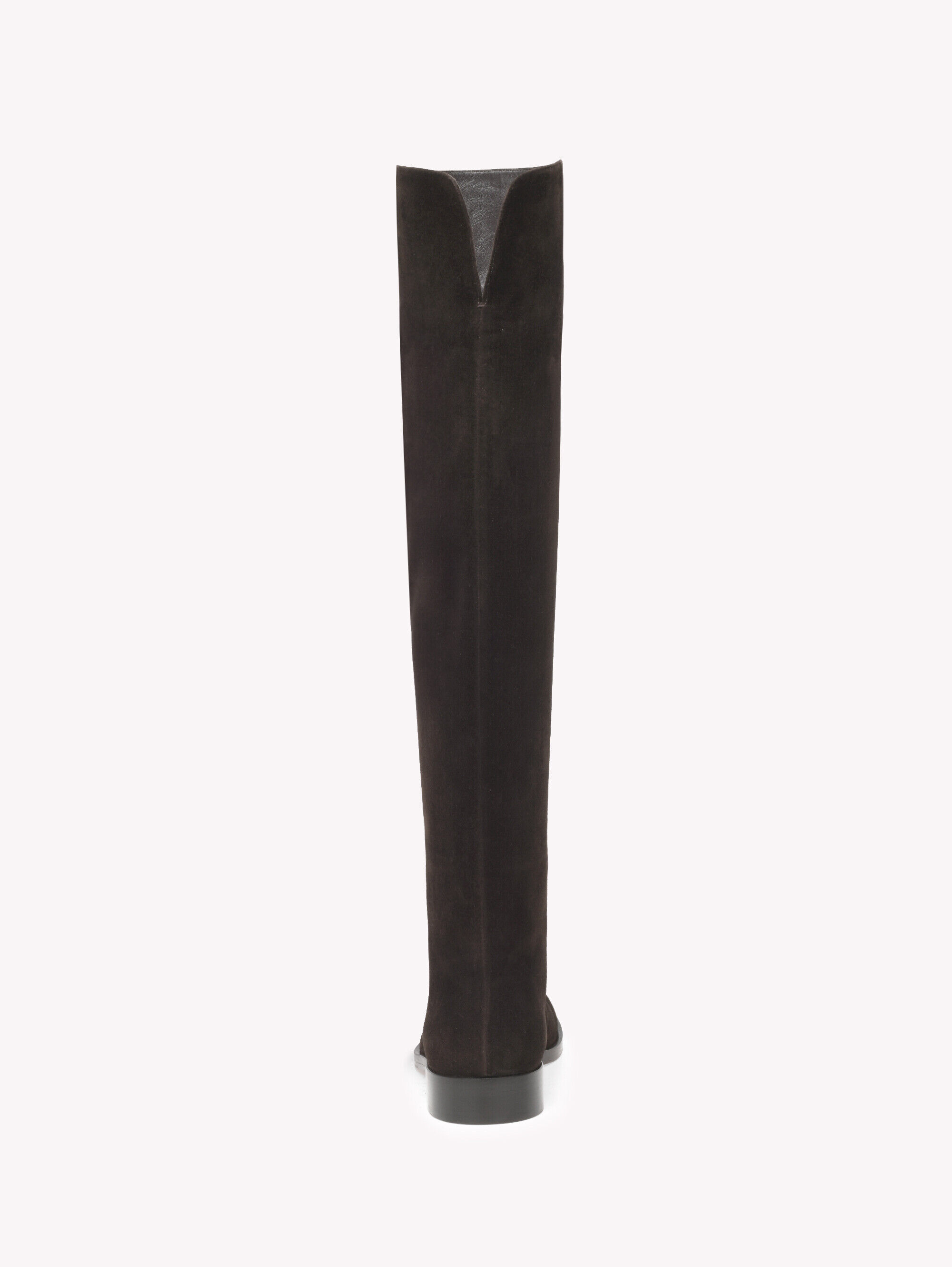 Boots ZAYNE BROWN | Gianvito Rossi