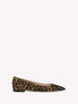 GIANVITO FLAT numero immagine 1