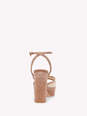 RANIA PLATFORM numero immagine 4