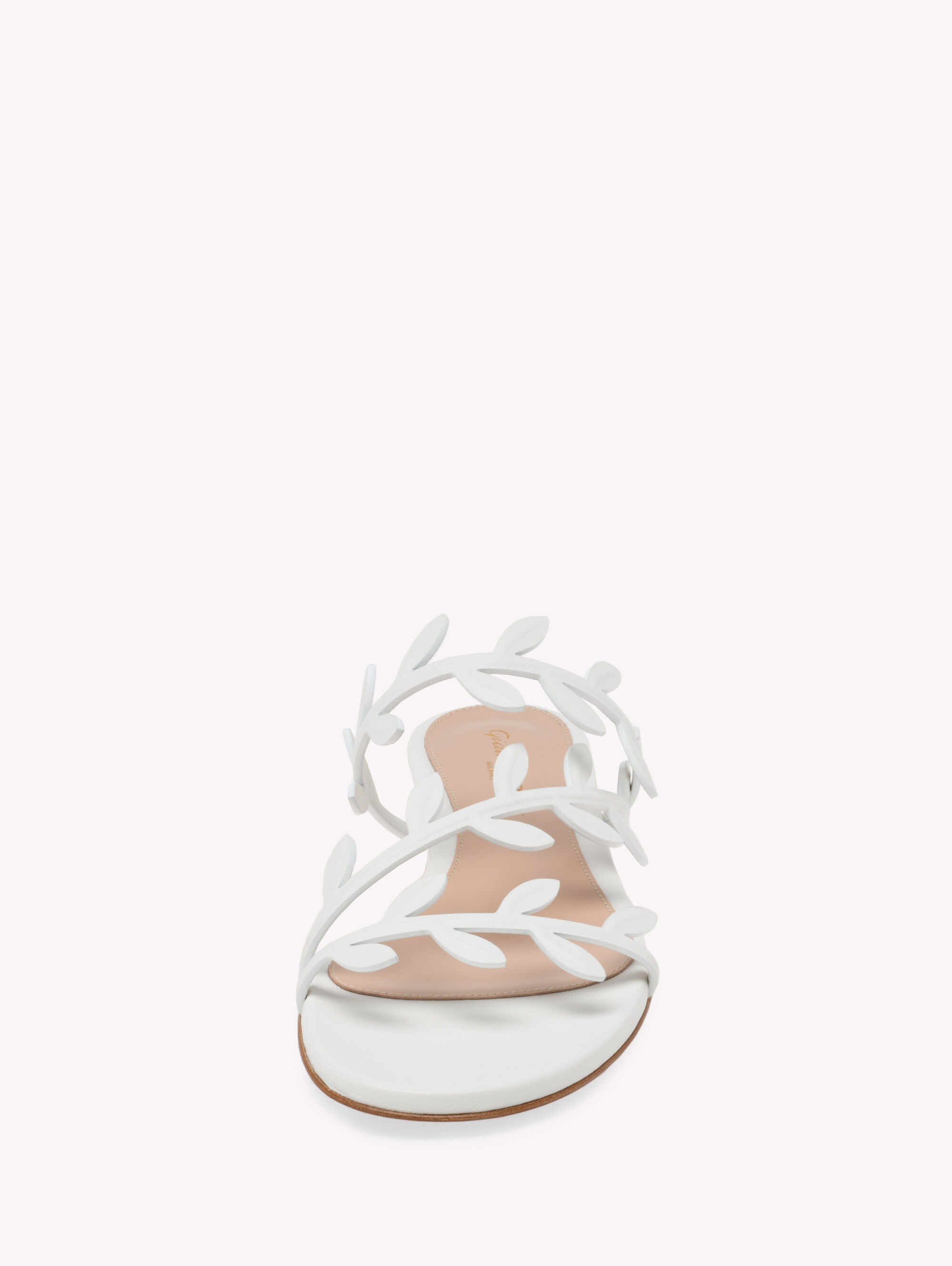 Flats FLAVIA 05 WHITE | Gianvito Rossi