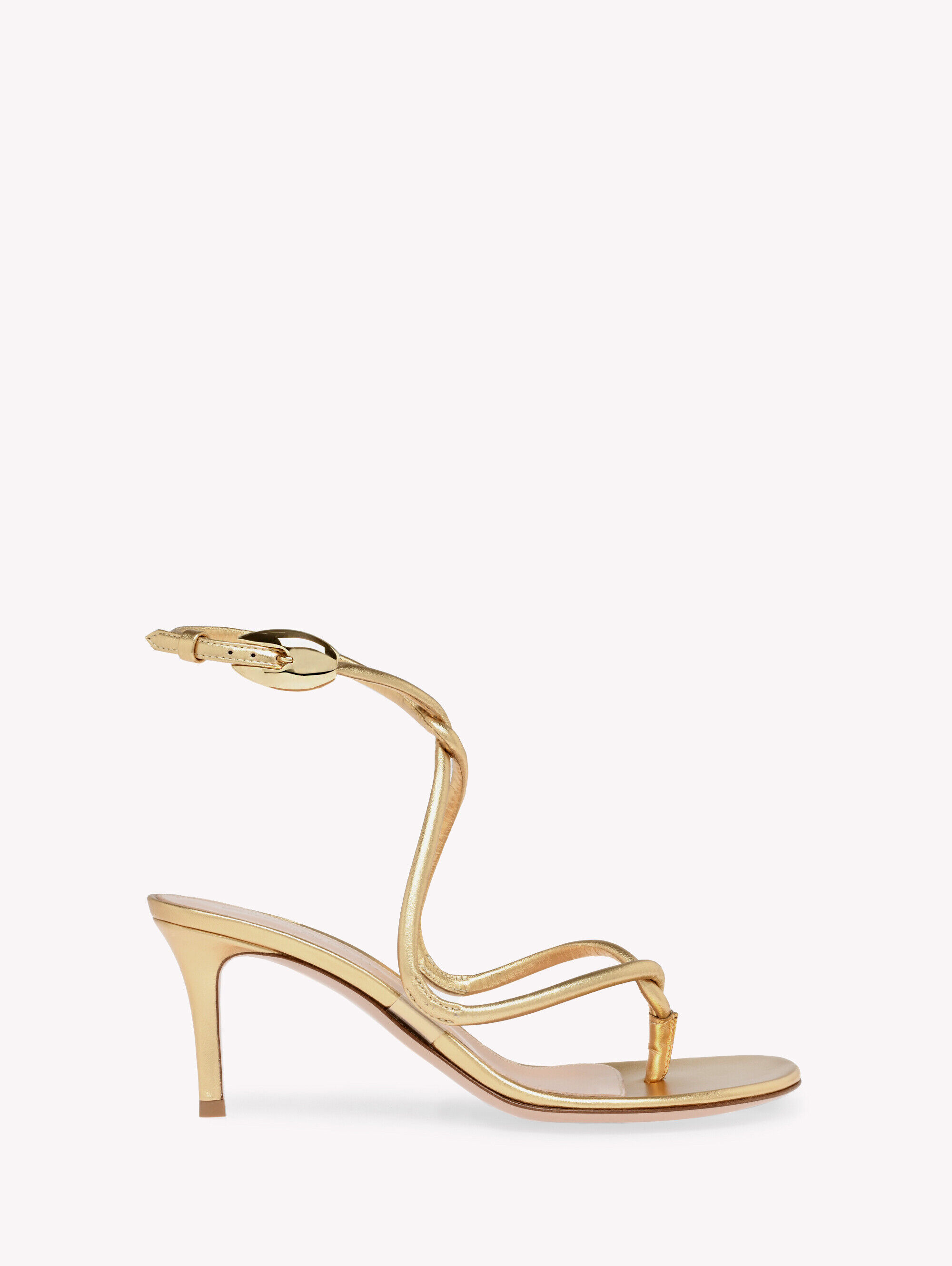Voodoo Marasa 450mm シャンパンゴールド Sandals and Mules JUNGLE MAMBA 70 T. GOLD | Gianvito Rossi