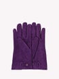 GLOVE numero immagine 2
