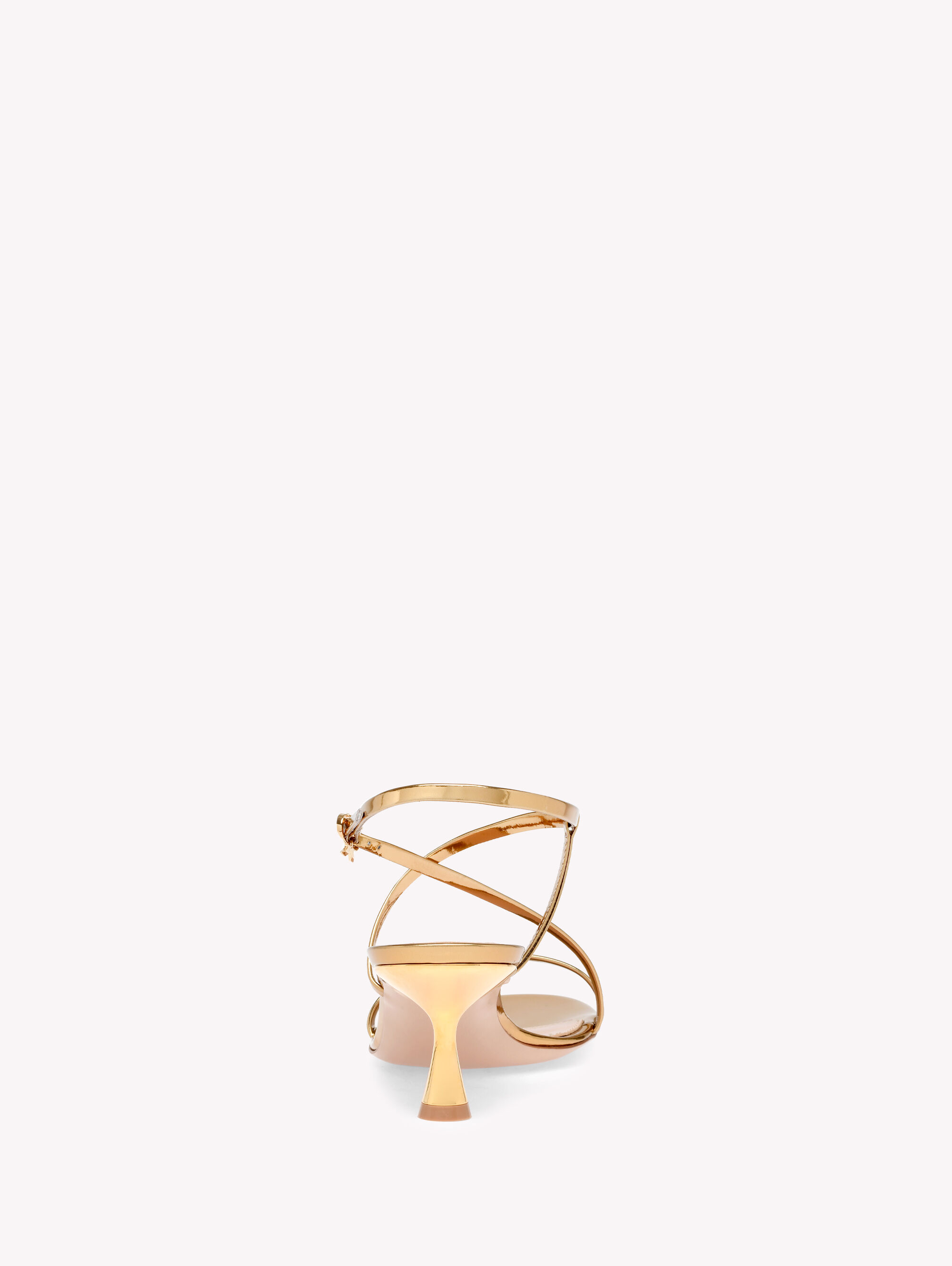 Woman ASCENT SANDAL 55 GOLD | Gianvito Rossi