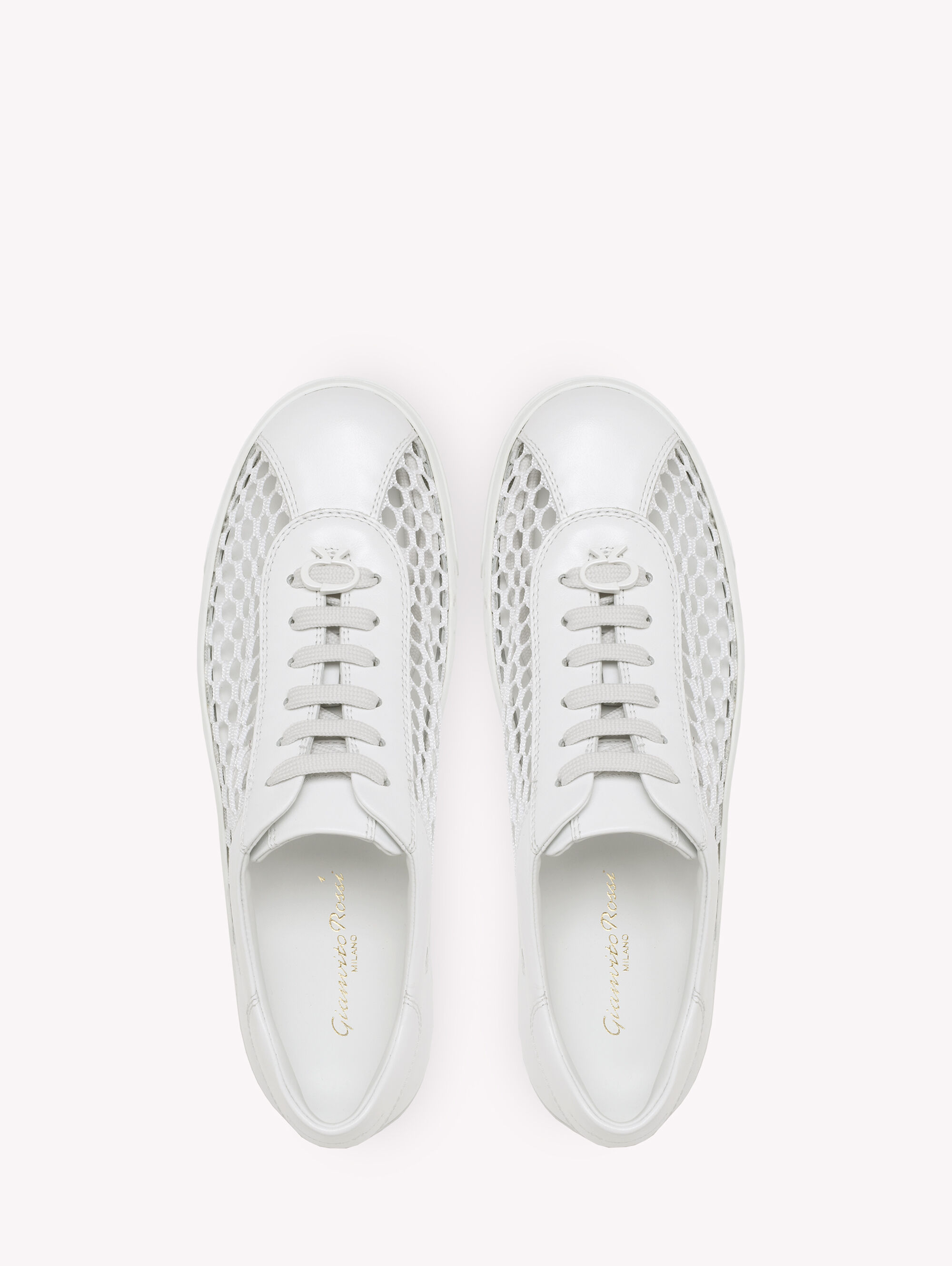 gianvito rossi trainers