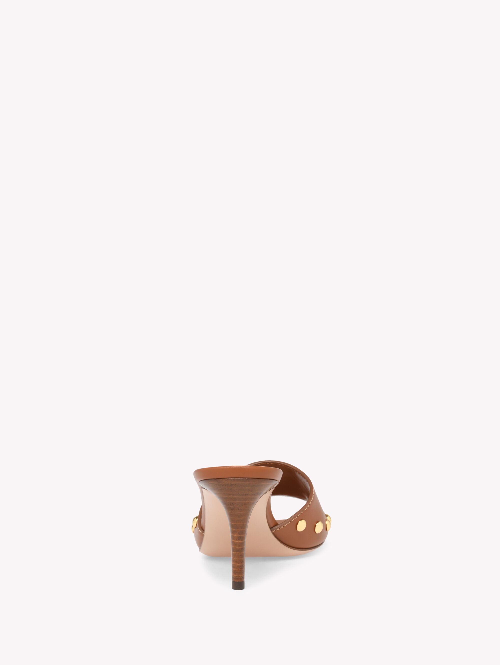 Sandals and Mules AVELIN Brown | Gianvito Rossi