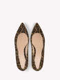 GIANVITO FLAT numero immagine 3