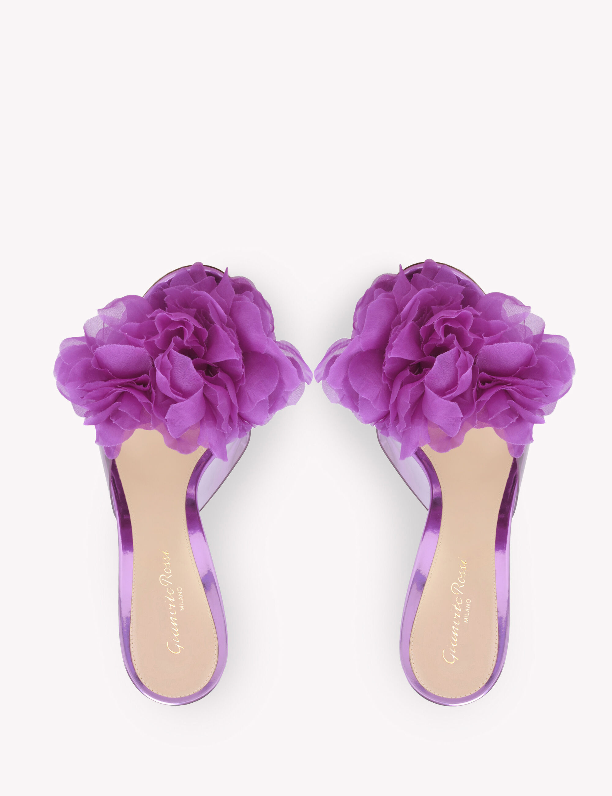 Sandals and Mules IGEA PURPLE | Gianvito Rossi