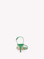 RIBBON KITTEN image number 4