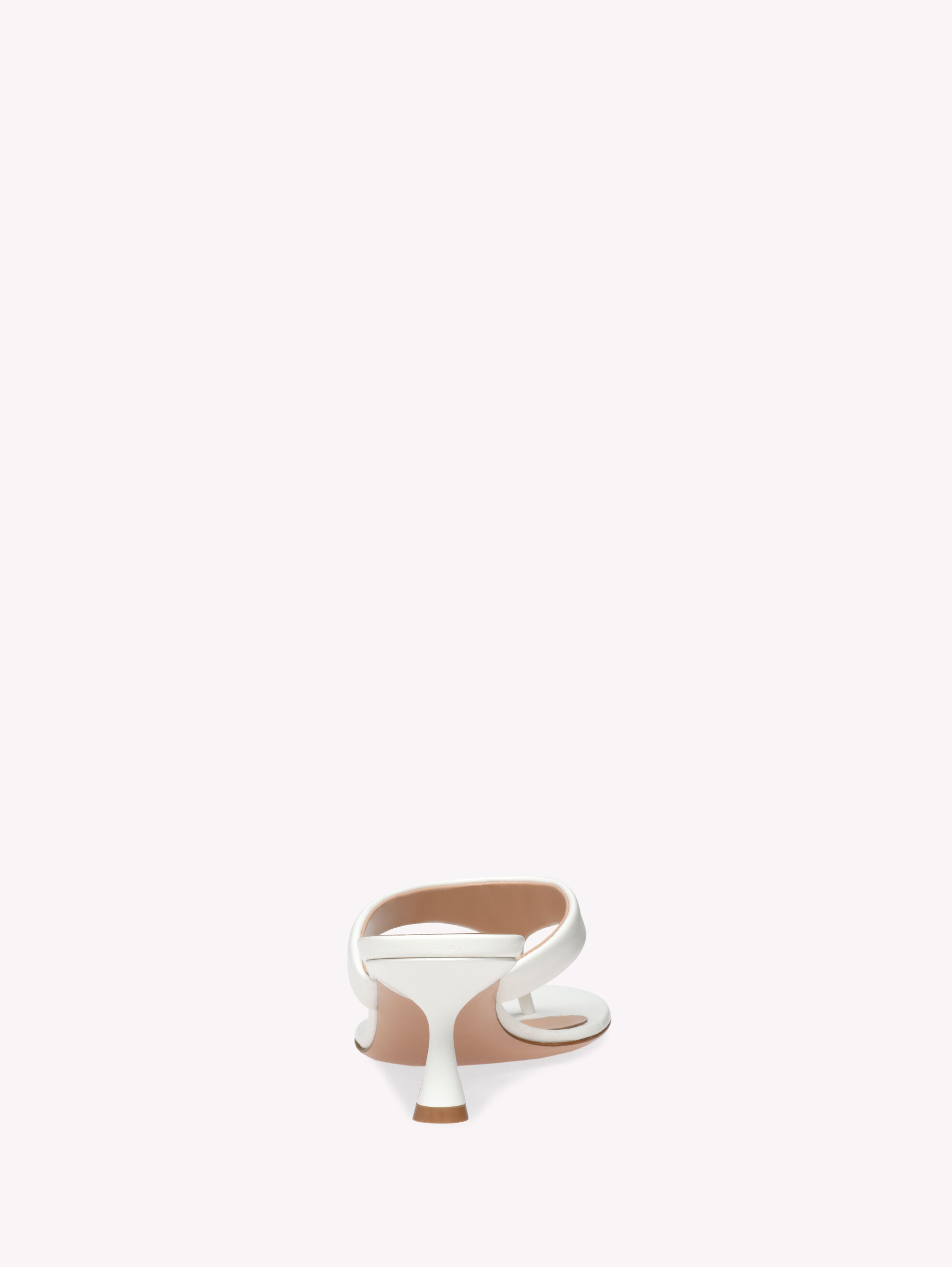 Mules ASCENT THONG 55 | Gianvito Rossi