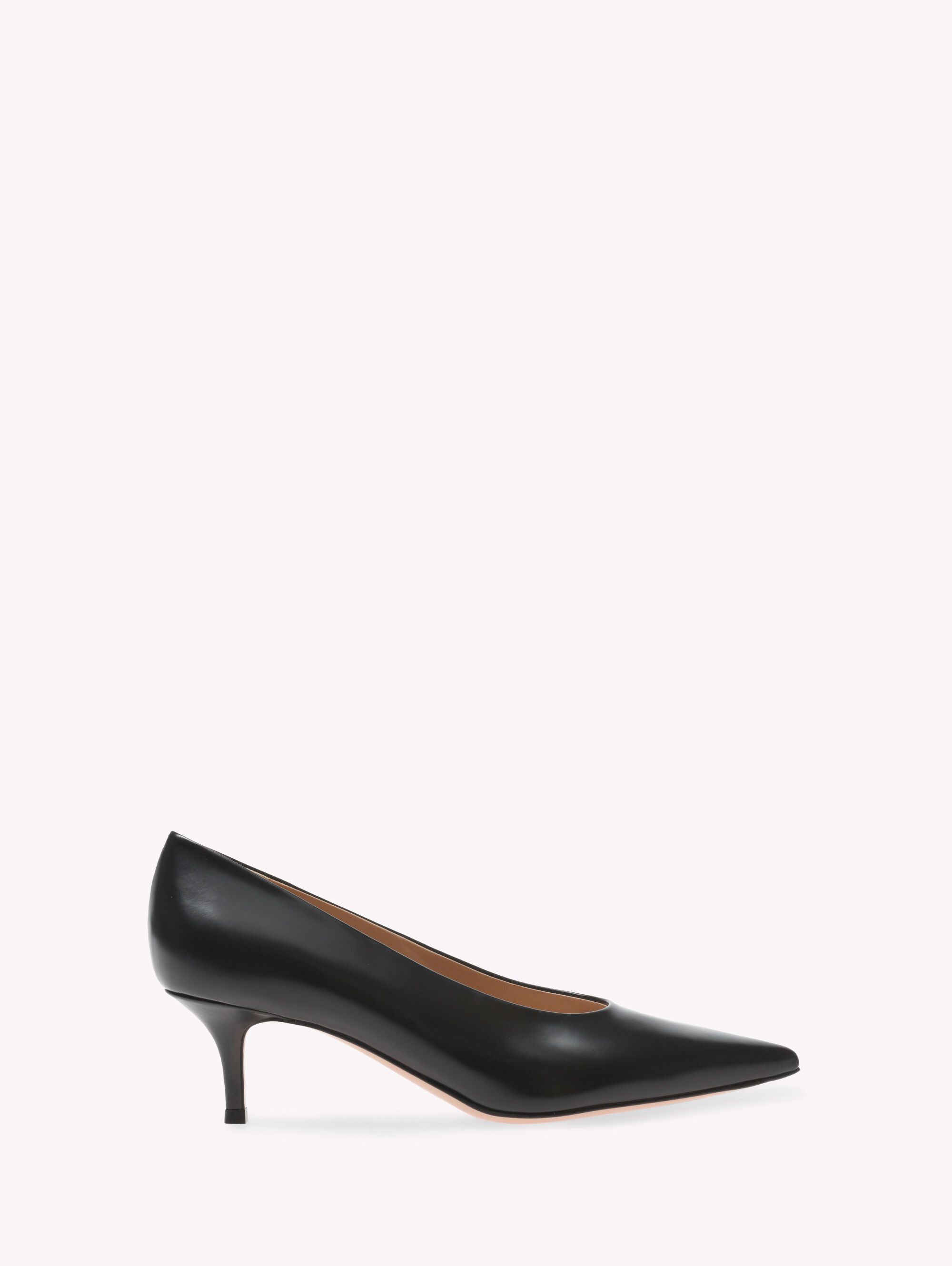 Pumps ROBBIE 55 Gianvito Rossi