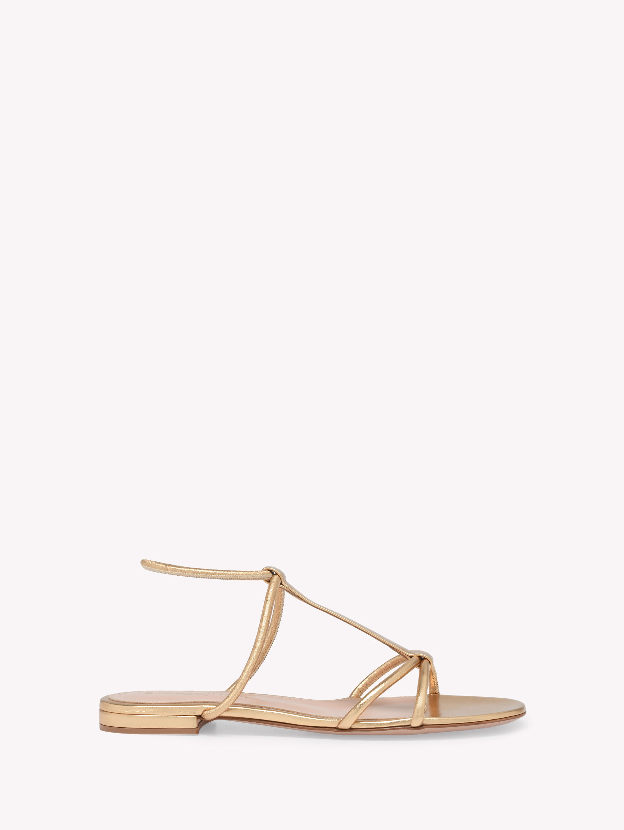 レディース用デザイナーズフラットシューズ | Gianvito Rossi