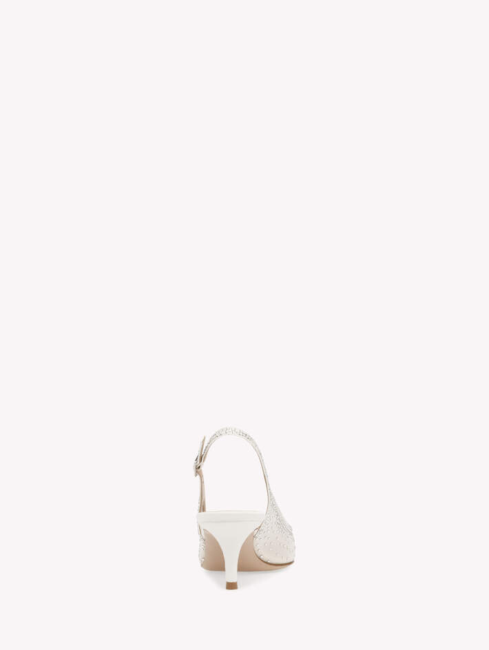 REGINA画像番号4