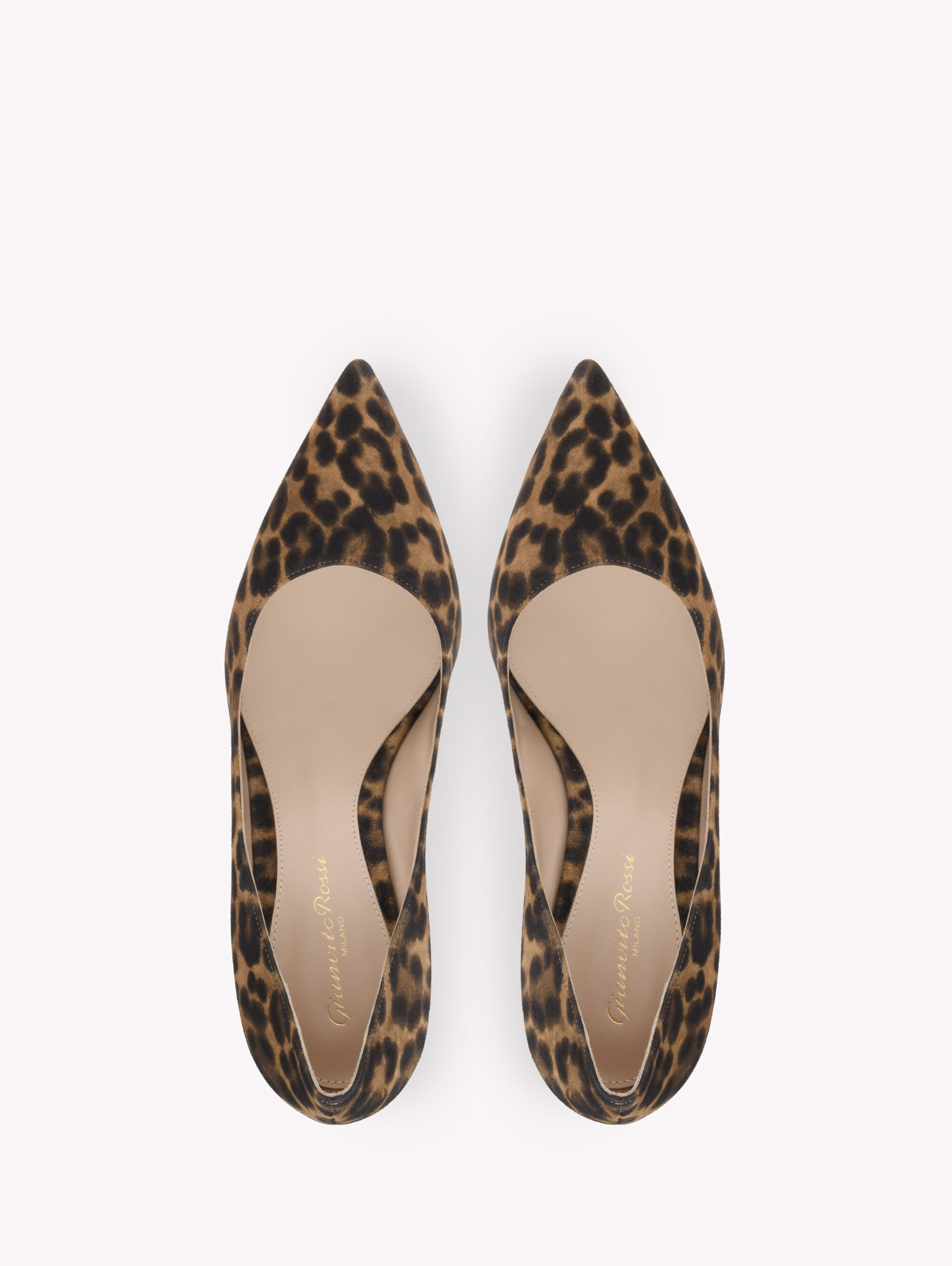 Gianvito rossi leopard print pumps store