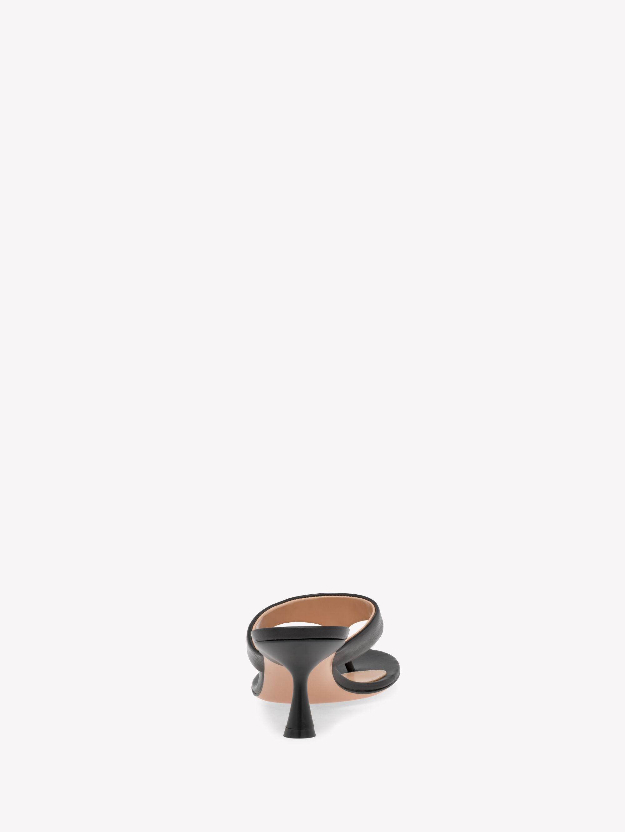 【Gianvito Rossi】ジャンヴィト・ロッシ／ASCENT THONG 55 Mules ASCENT THONG 55 | Gianvito Rossi