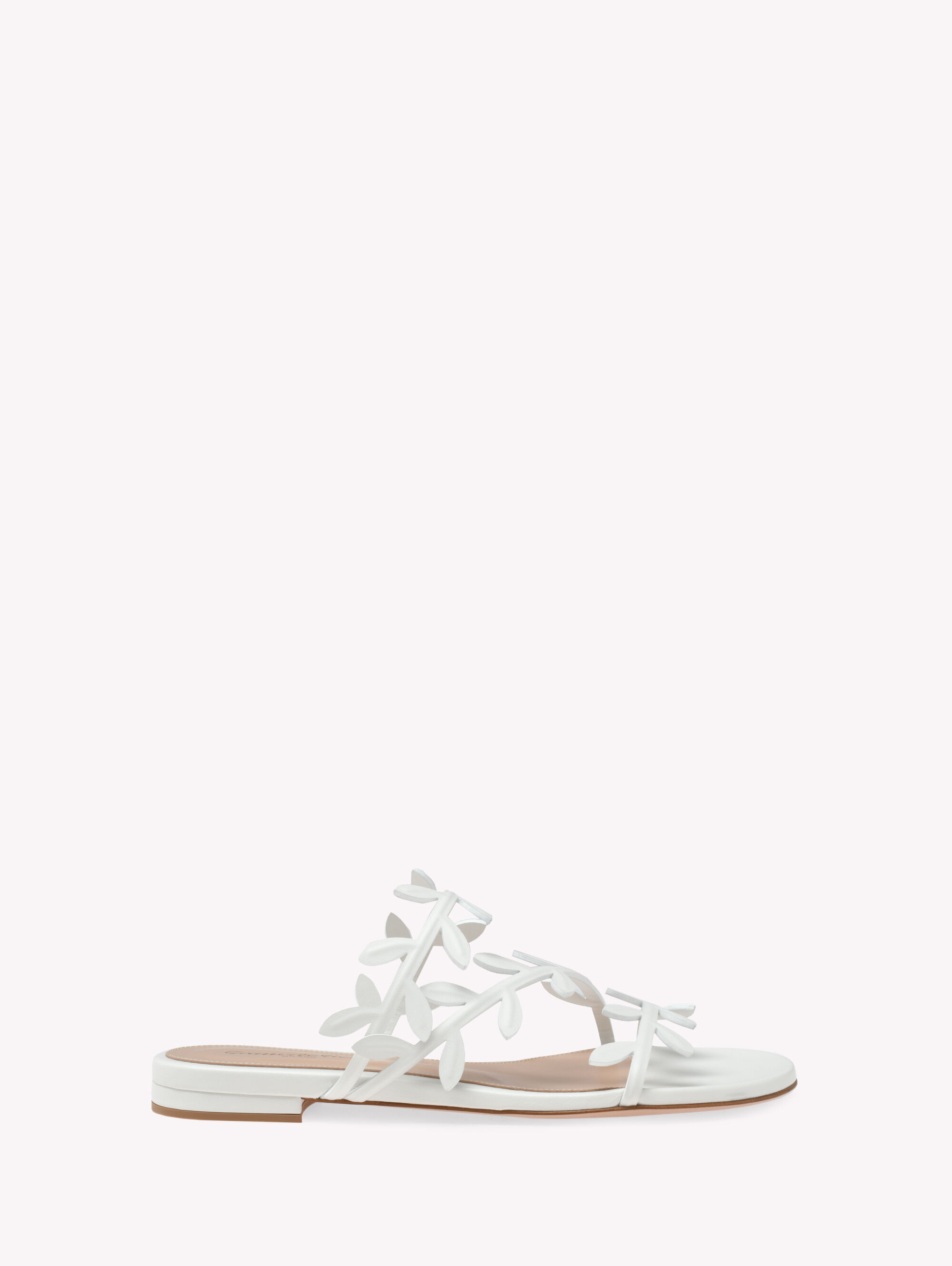 Flat Shoes for Women: Luxury Made in Italy | Gianvito Rossi