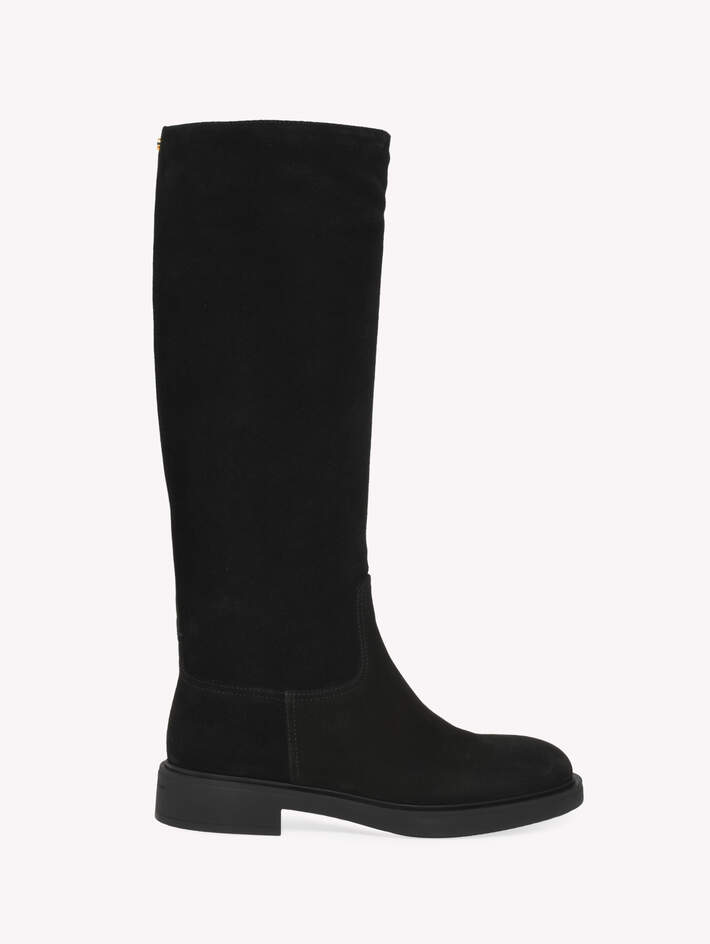 ASCOTT image number 1