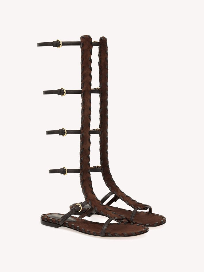 ZAIRA GLADIATOR