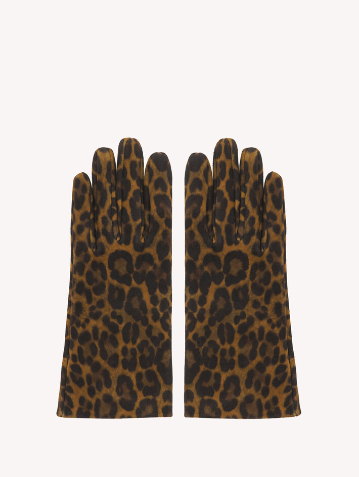 GLOVE