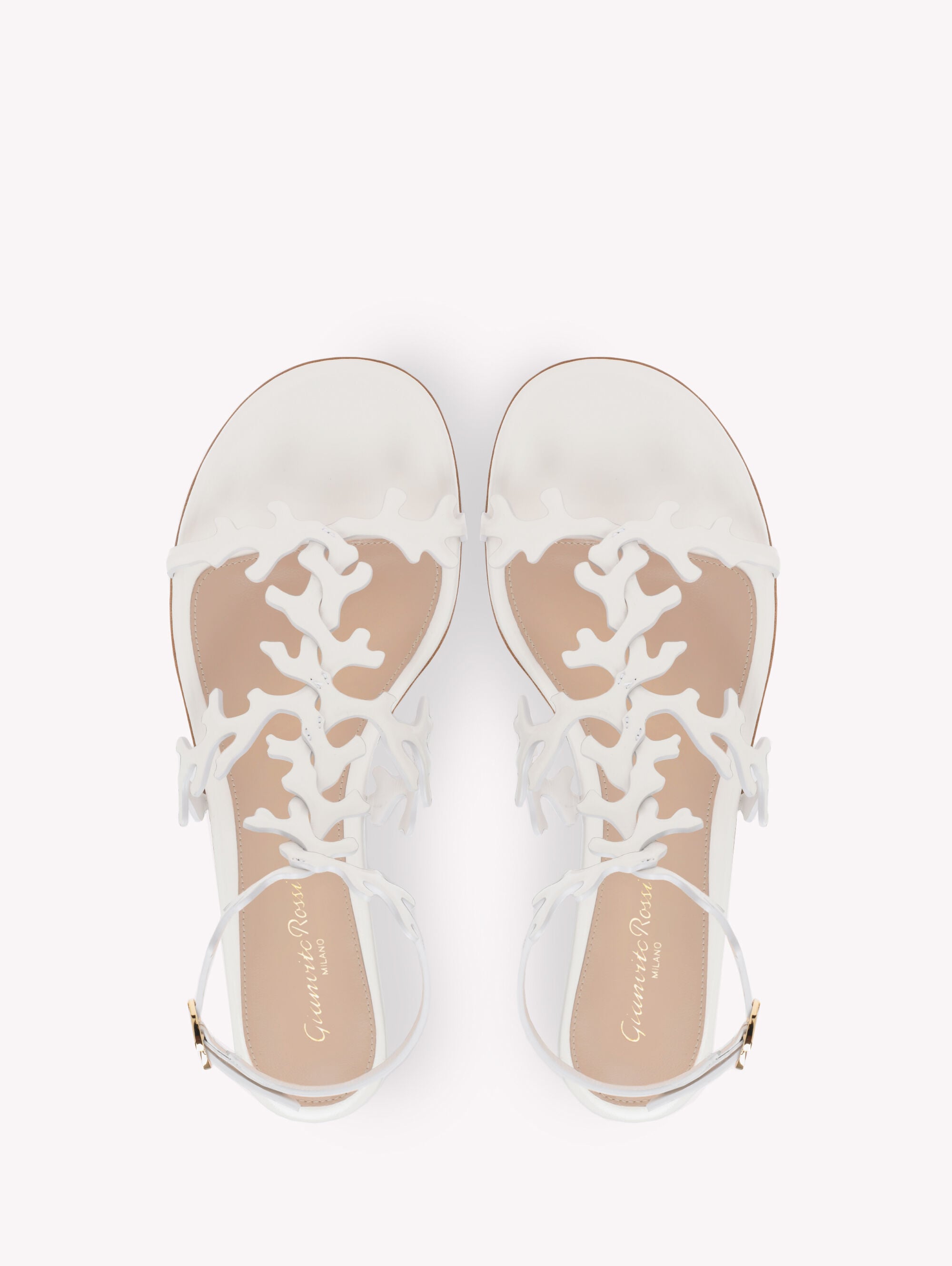 フラットシューズ OCEAN FLAT ホワイト | Gianvito Rossi