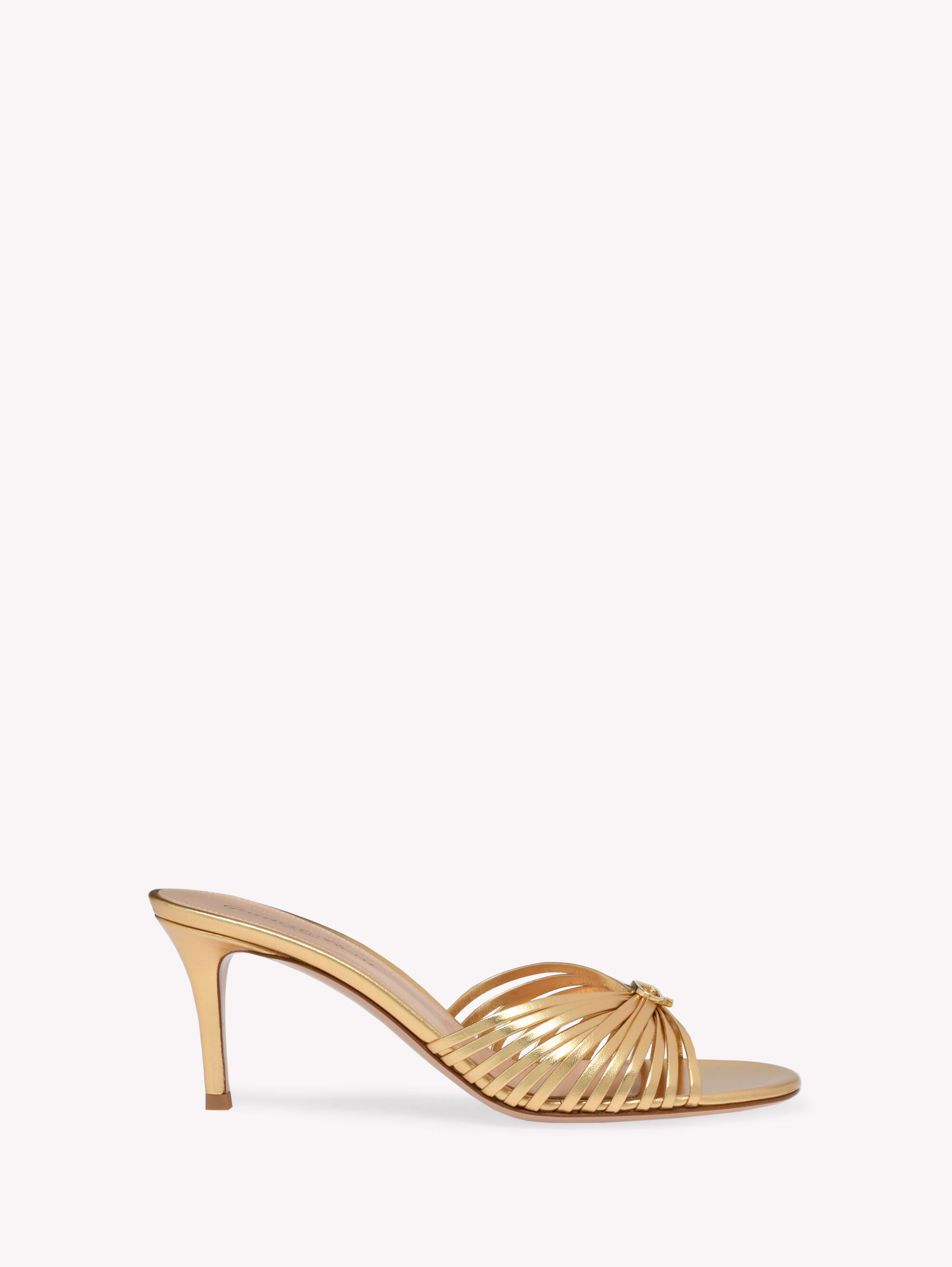Luxury Shoes and Accessories for Women | Gianvito Rossi