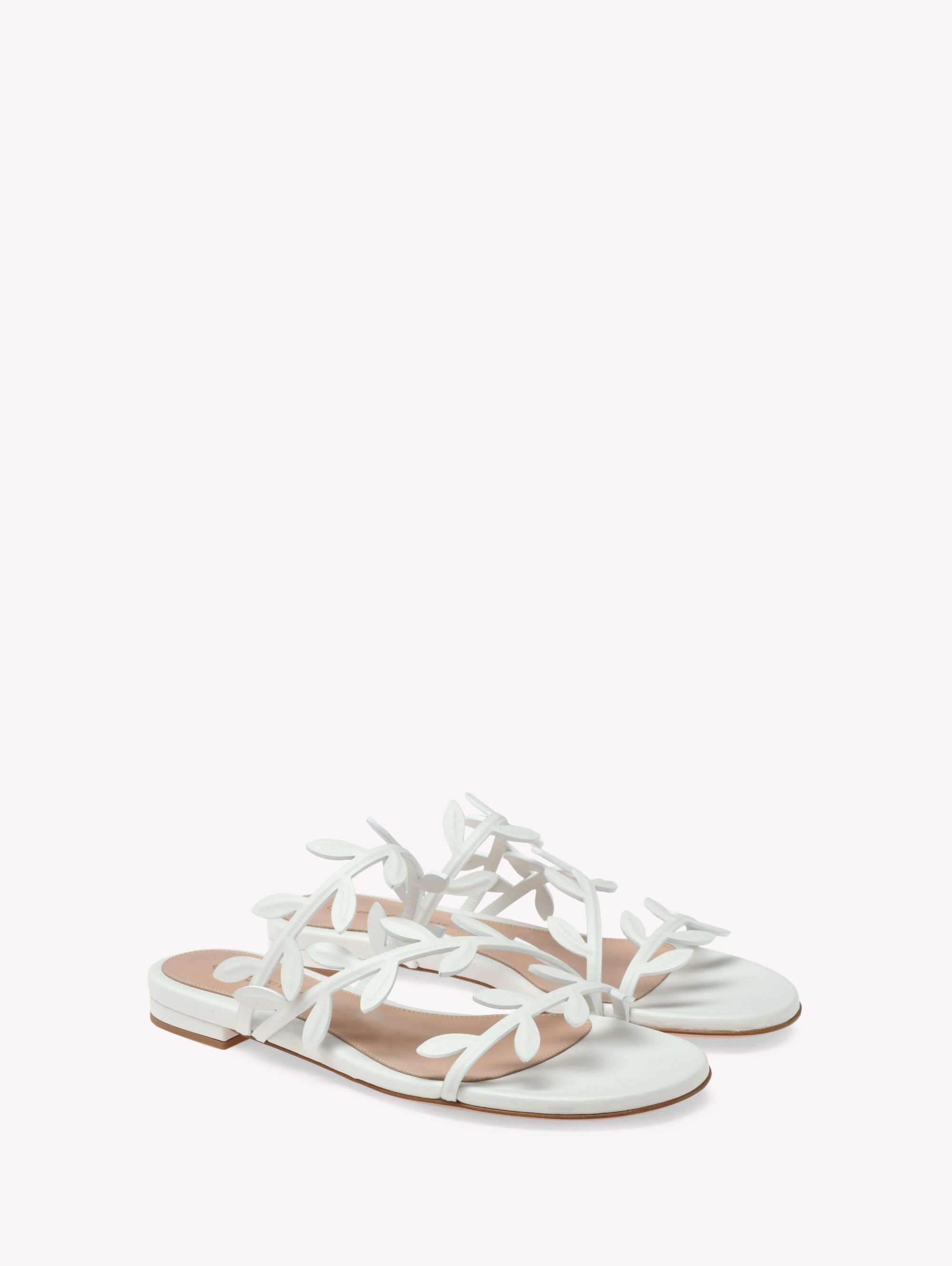 Gianvito rossi flat shoes deals