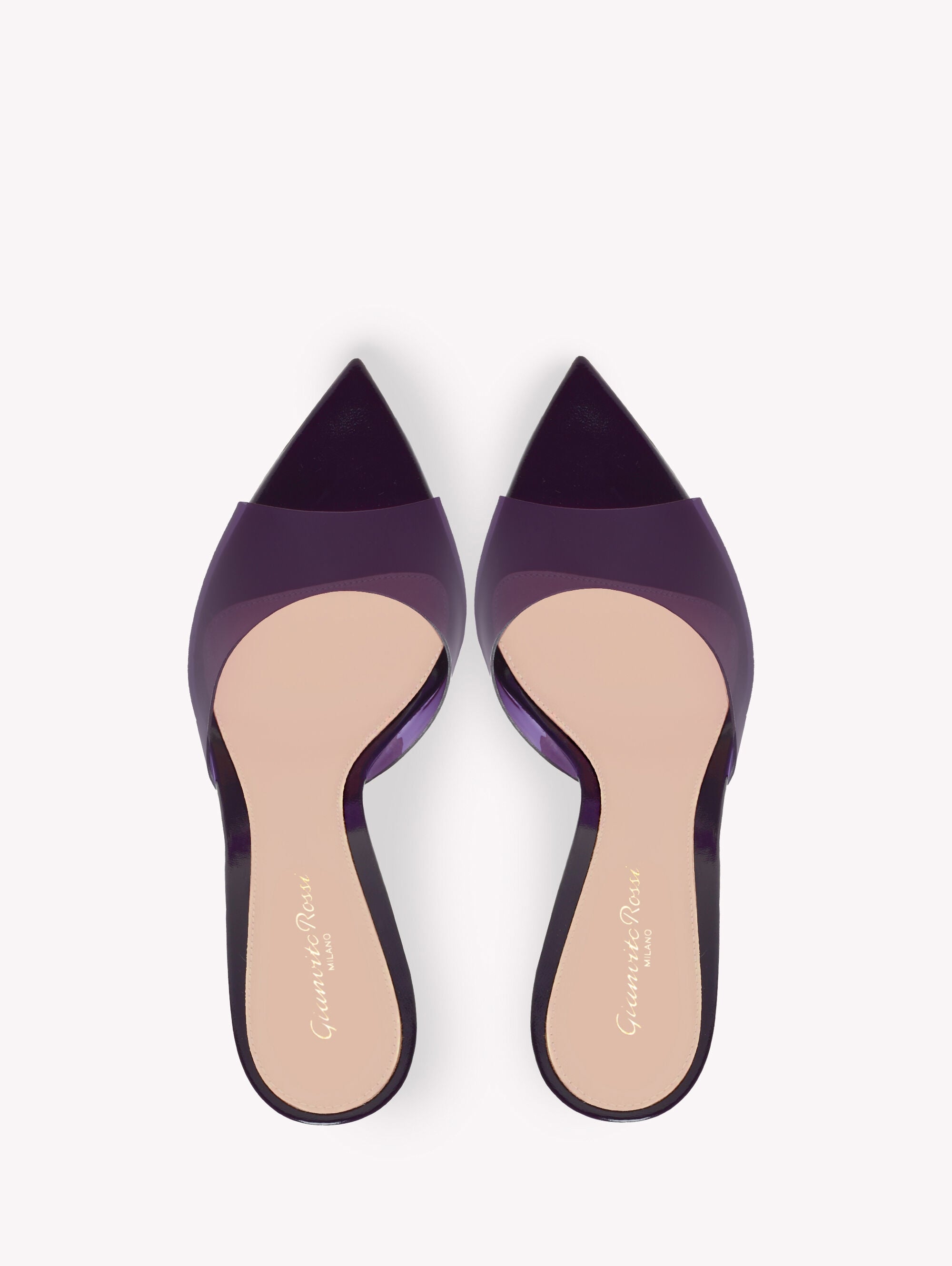 Women's Plexi Shoes – Plexi Collection | Gianvito Rossi