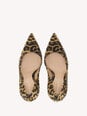 GIANVITO 105 image number 3
