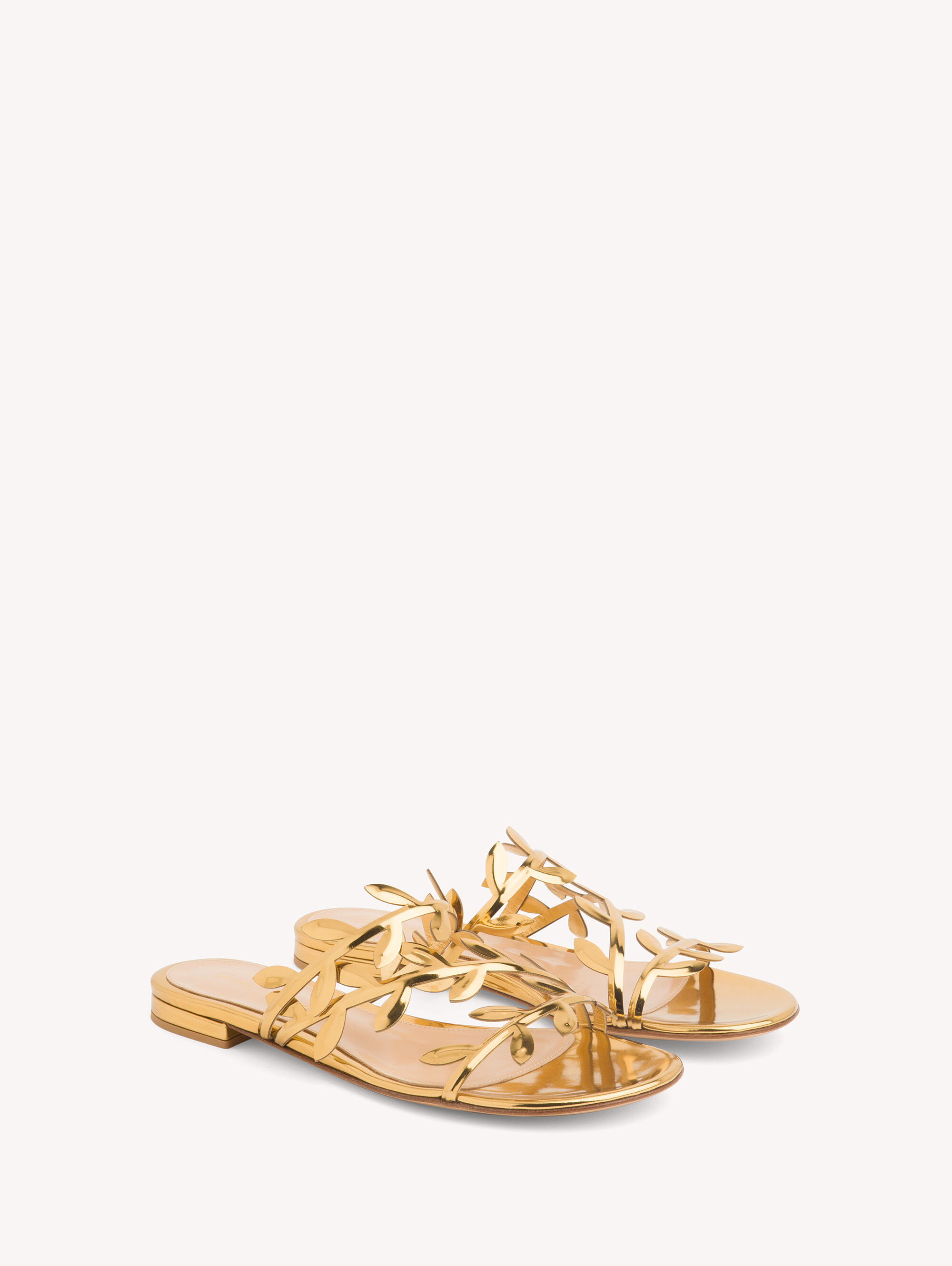 【Gianvito Rossi】LUCILLA 05 フラワー フラット サンダル Gianvito Rossi】LUCILLA 05 フラワー フラット サンダル