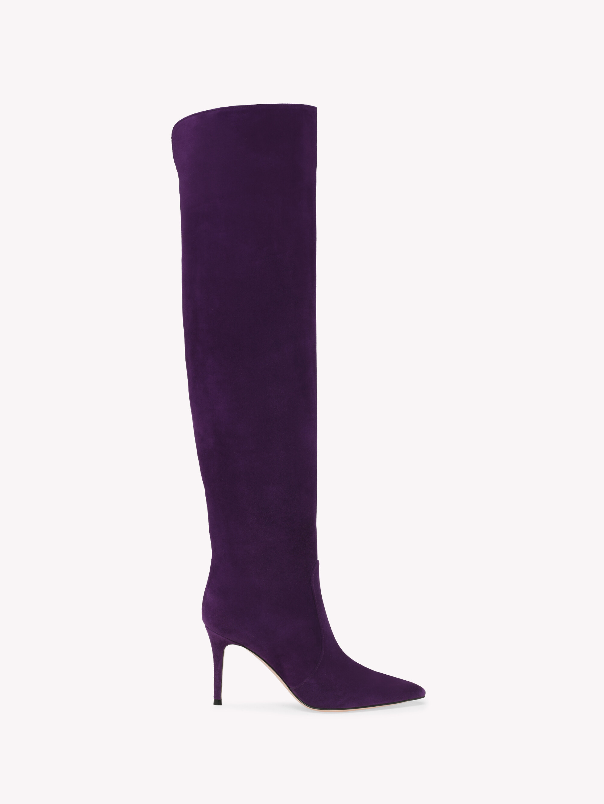 Boots HANSEN CUISSARD PURPLE | Gianvito Rossi