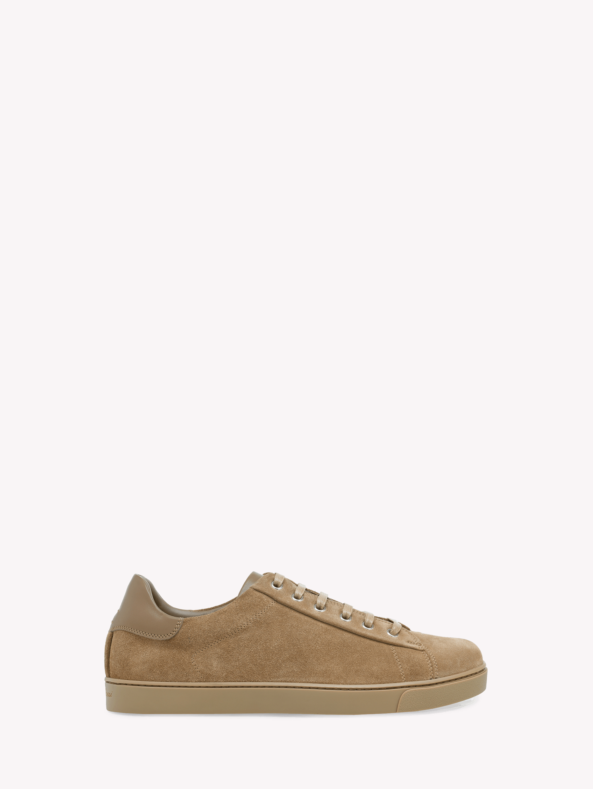 Shop Gianvito Rossi Low Top In Brown
